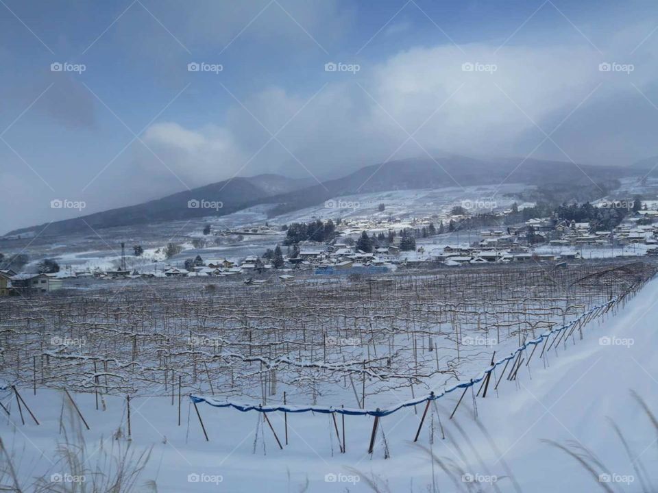 Snow Valley