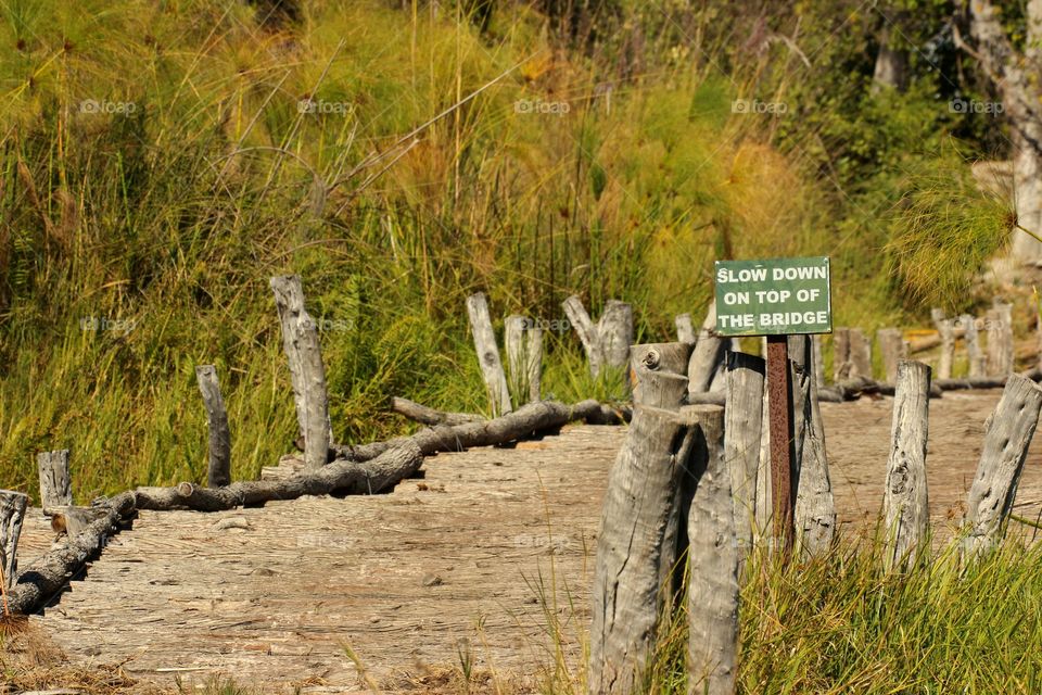 Nature, No Person, Outdoors, Wood, Travel