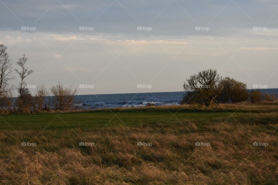 Landscape, No Person, Tree, Sunset, Grass