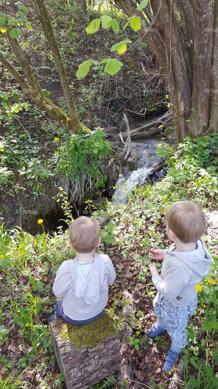 Twins watching a waterfall in the wood