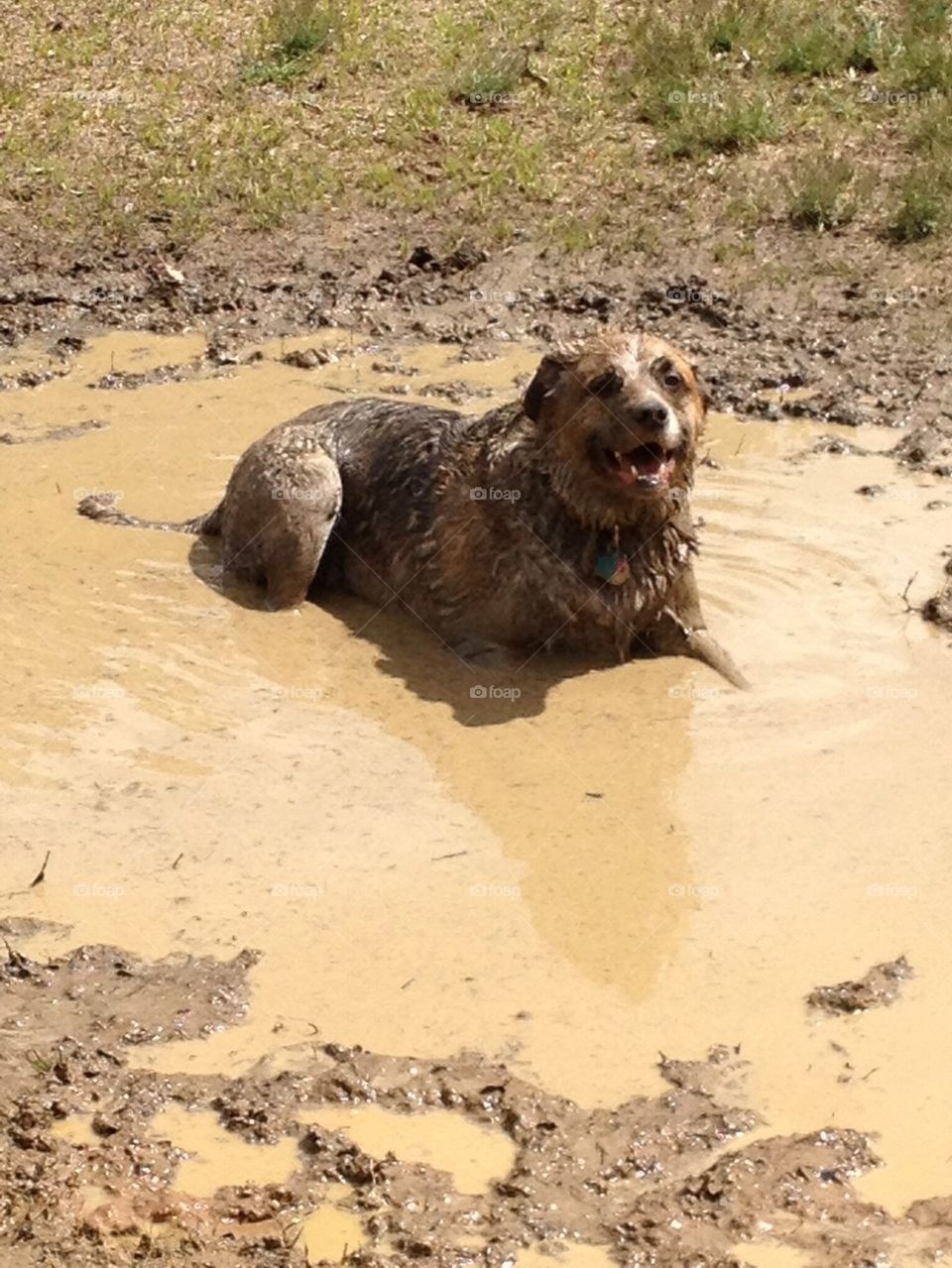 Mud bath 
