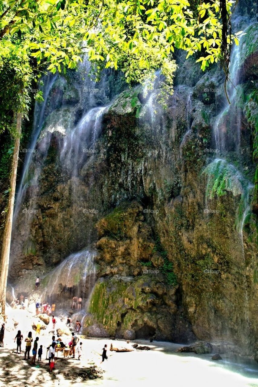 nature cold forest jungle by darnellholmes0101