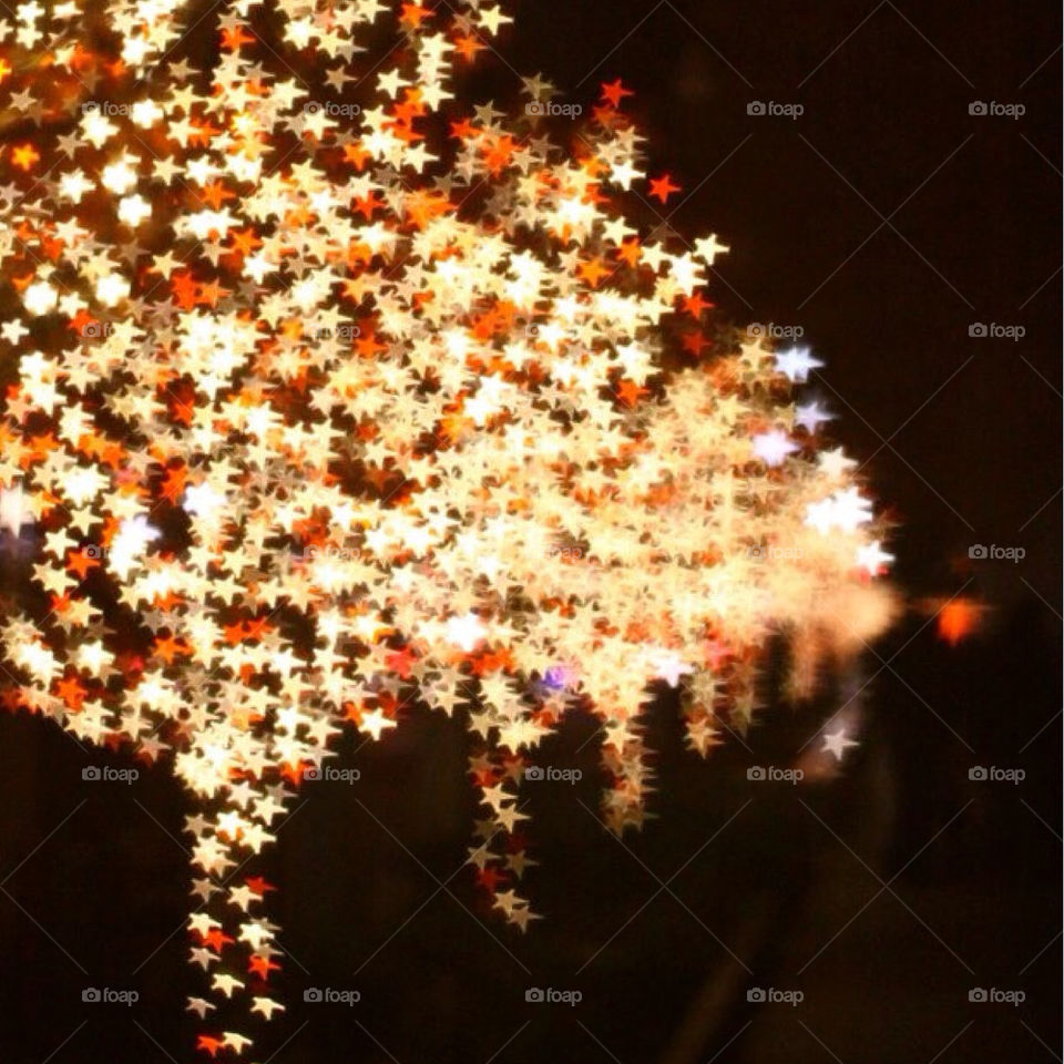 lights christmas trees christmaslights stars photo tricks templesquare outside utah lisatrentpgotography by lmtrent