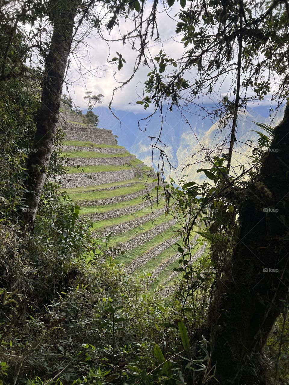 Inca Ruins