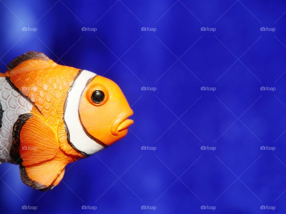 Clownfish figure