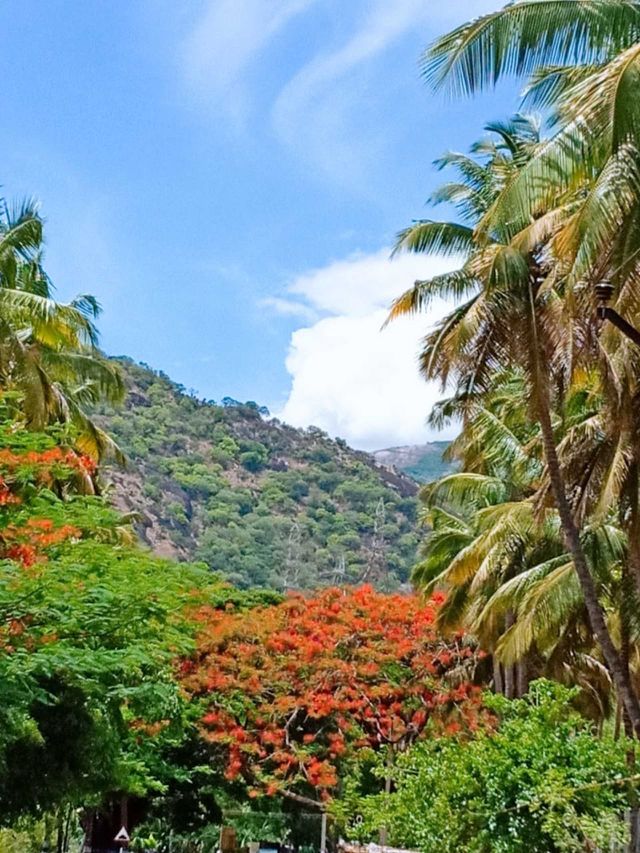 beautiful scenery