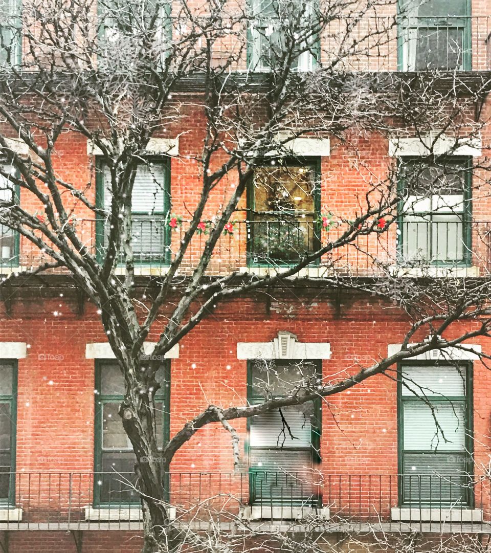 Snow NYC