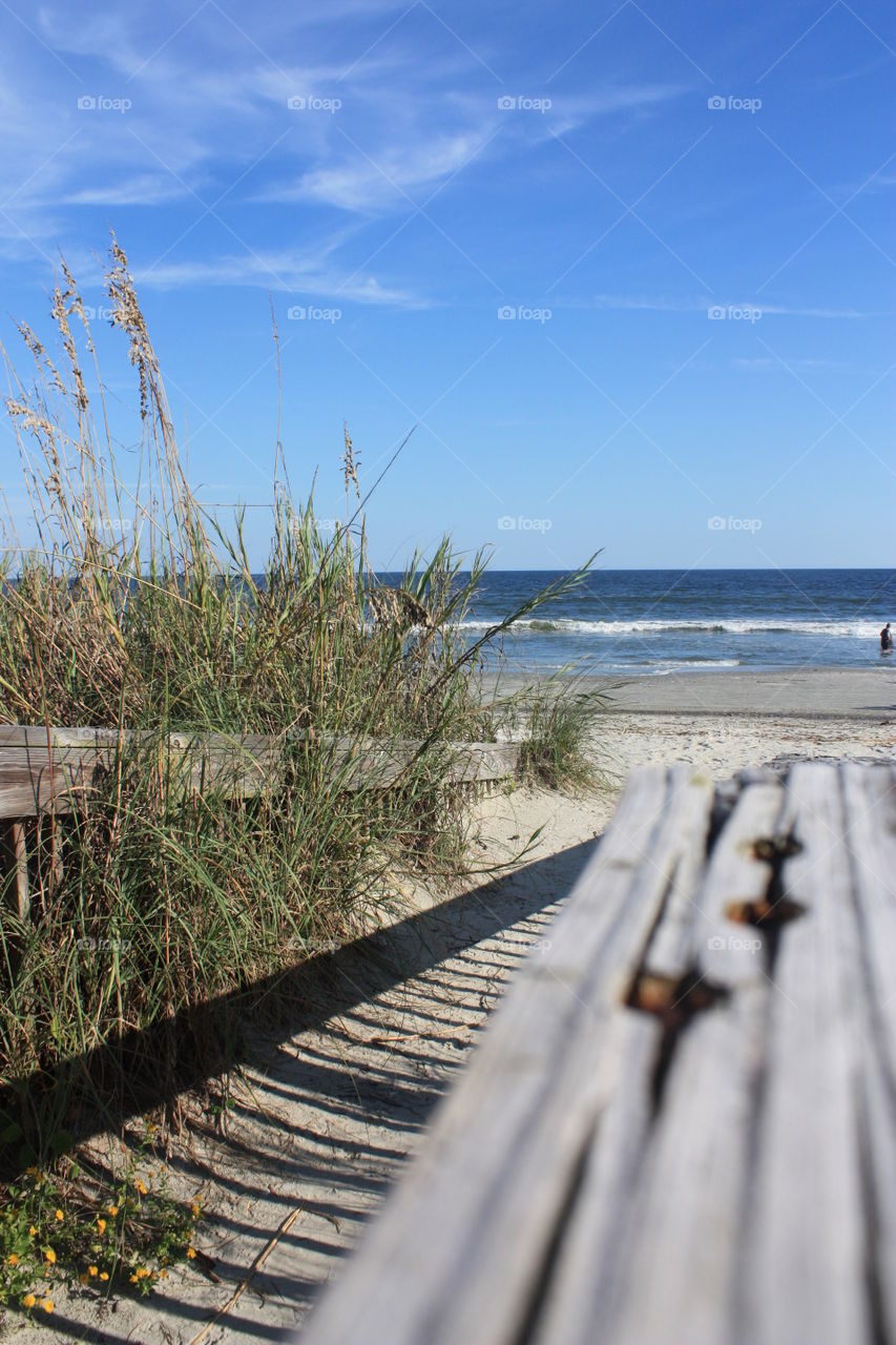 Spring at the beach