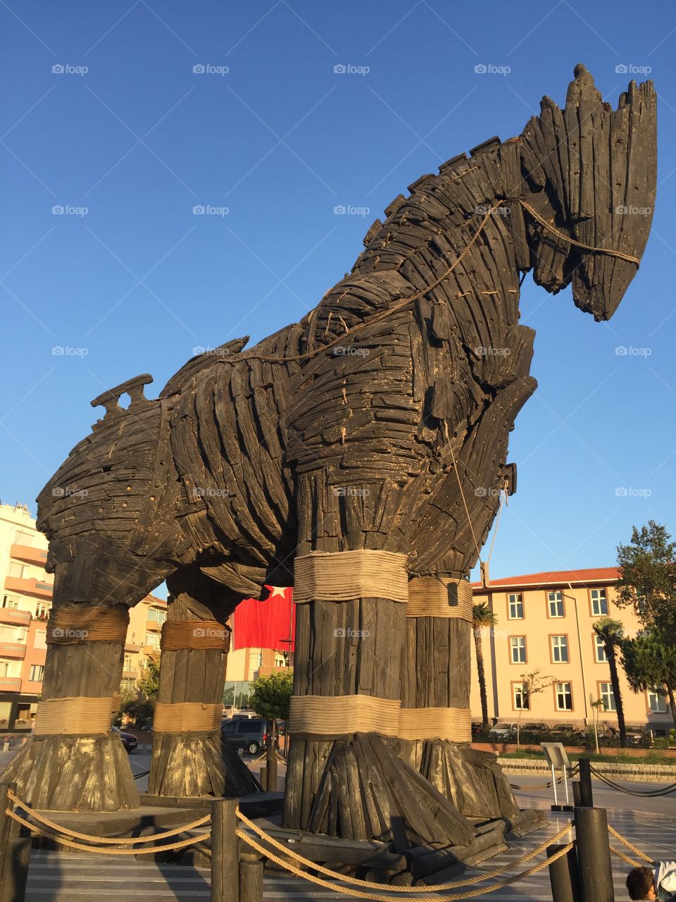 Trojan horse 