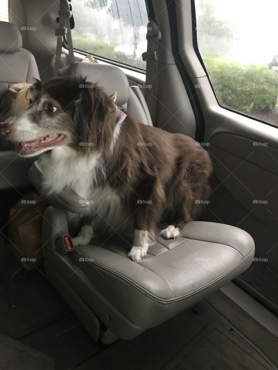 Crouching on the car seat