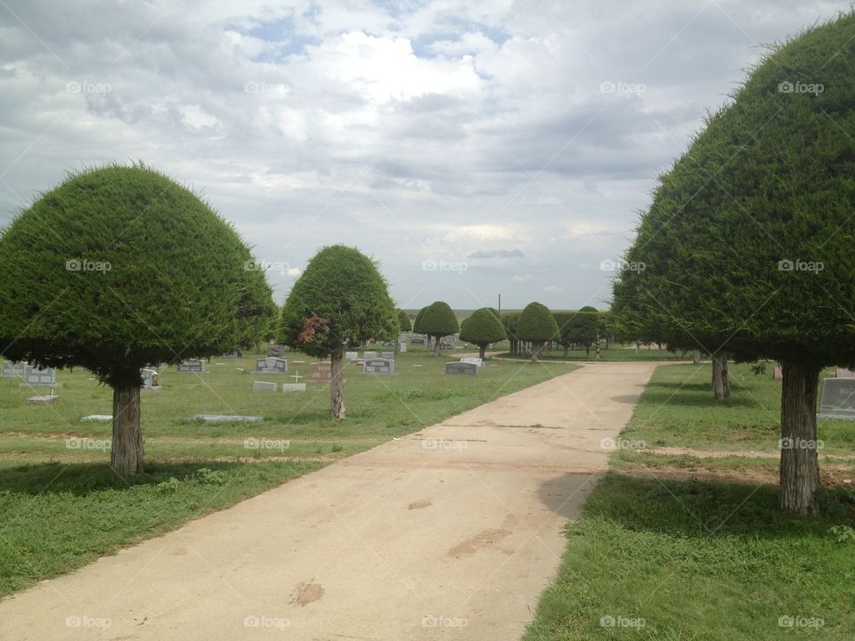 Family Graves. I took this while at my granny's funeral.