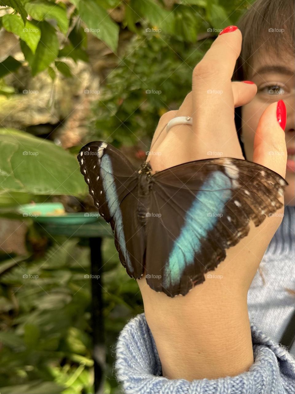 Red nails and butterfly