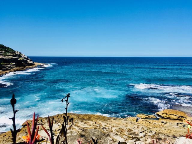 Ocean 