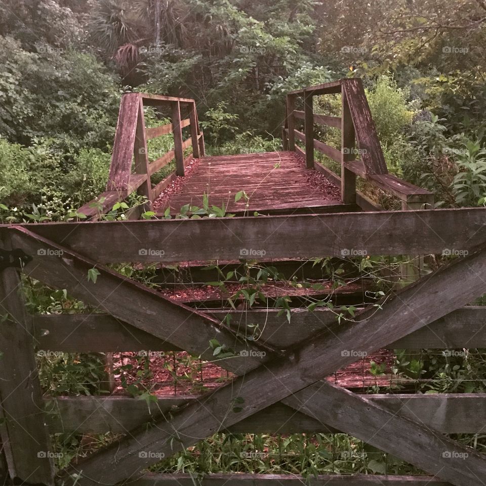 Bridge to Nowhere