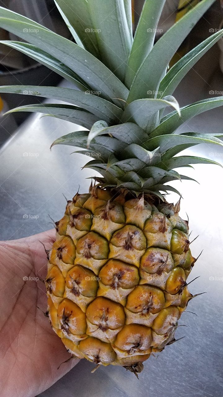 Home grown pineapple