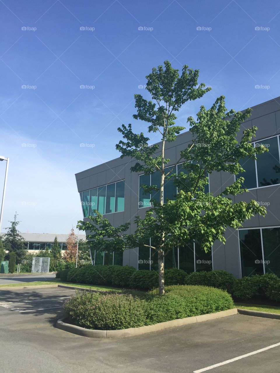 Home, No Person, House, Road, Architecture