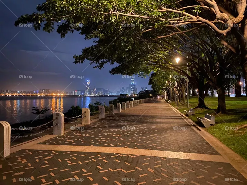 Road and Path