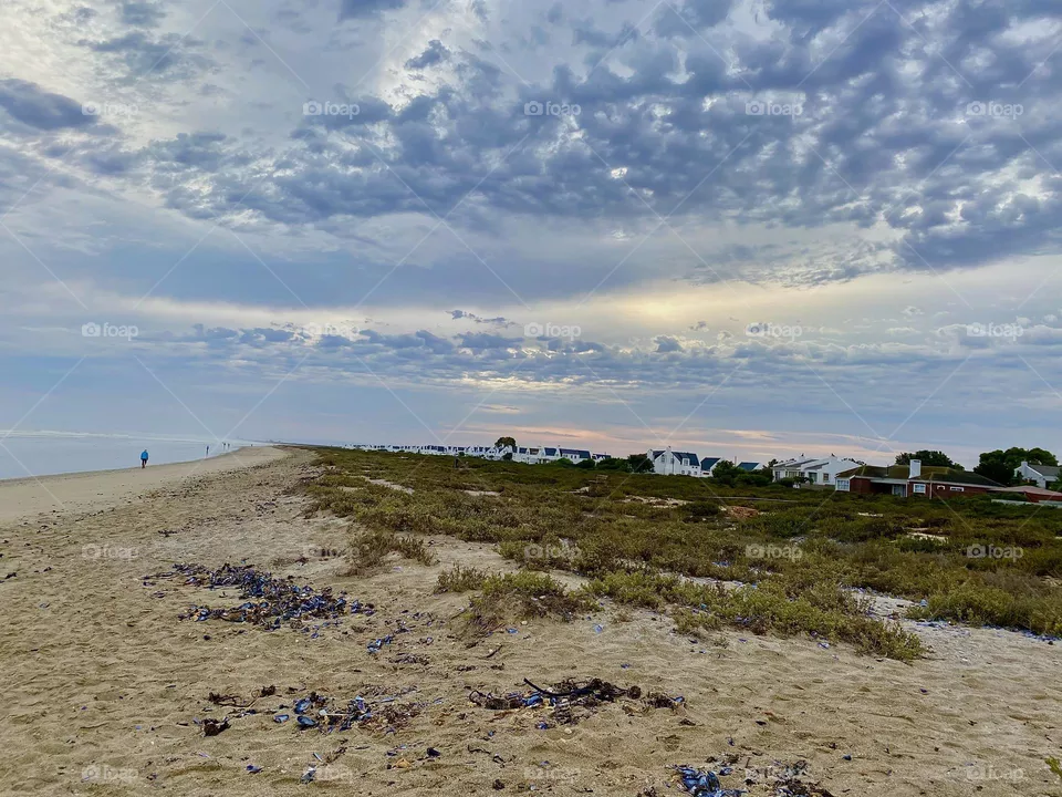 Beach view