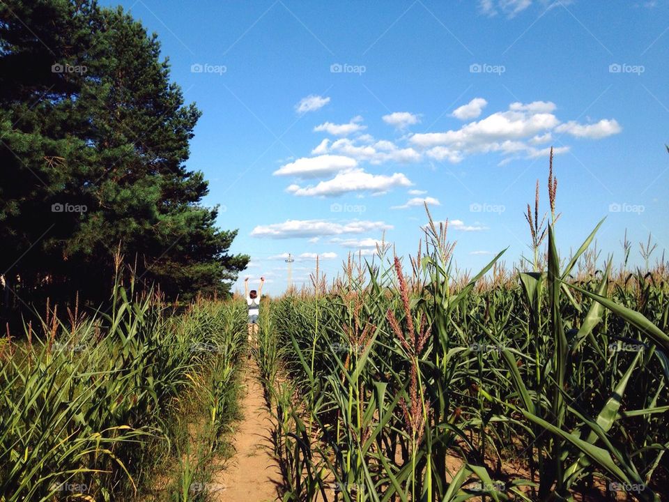 Crossing in to the fields