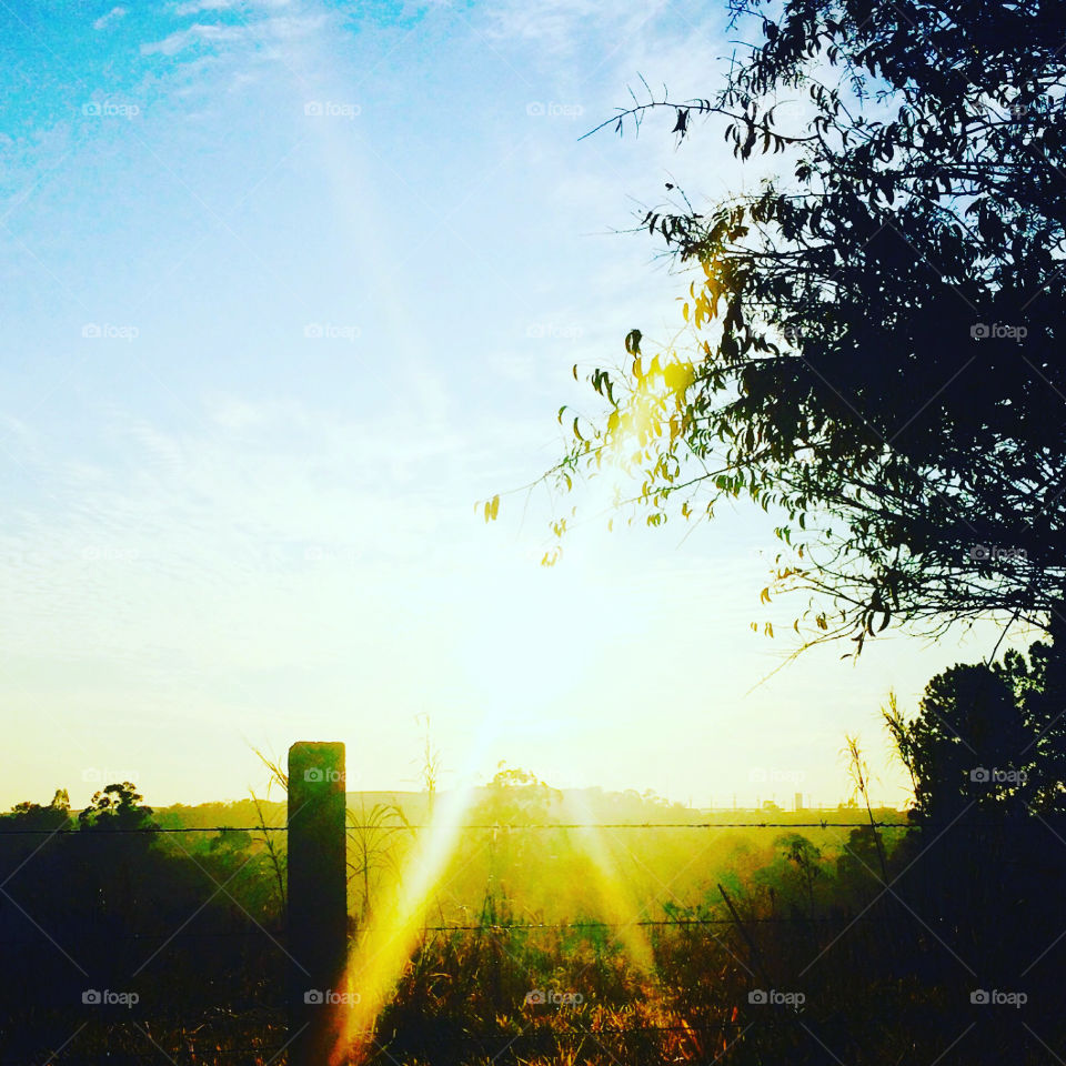 🌅Desperte, #Jundiaí, com esse #domingo de #sol!
Que a jornada diária possa valer a pena!
🍃
#sun #sky #céu #photo #nature #morning #alvorada #natureza #horizonte #fotografia #pictureoftheday #paisagem #inspiração #amanhecer #mobgraphy #mobgrafia