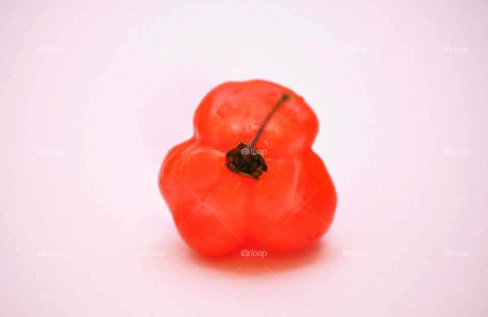 Scotch bonnet pepper