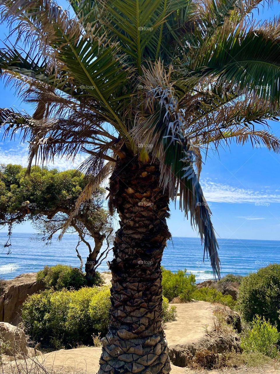 Beautiful day at Sunset Cliffs Natural Park