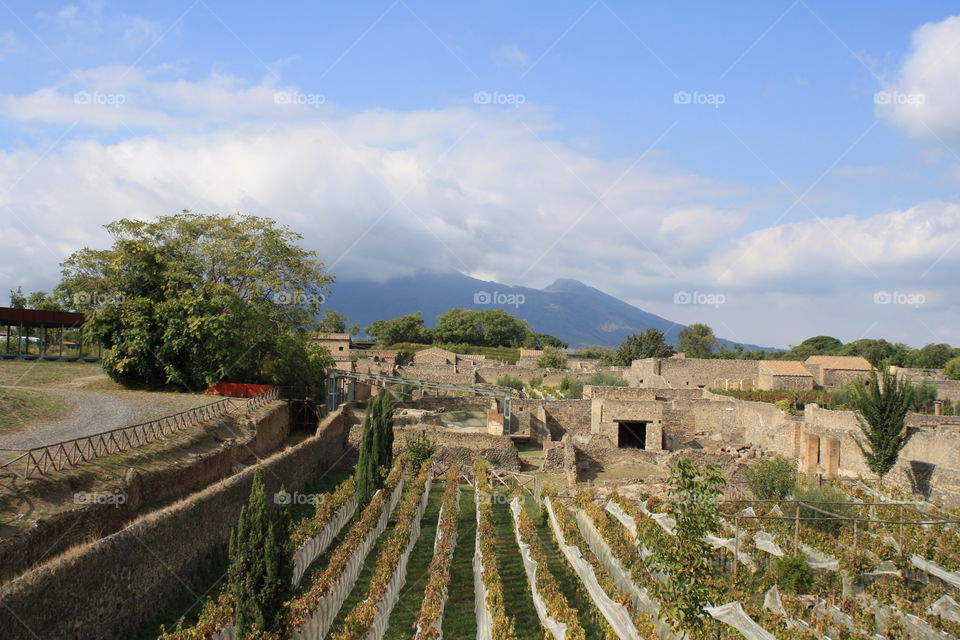 Gardens of Pompeii with Mount Vesuvius in the background