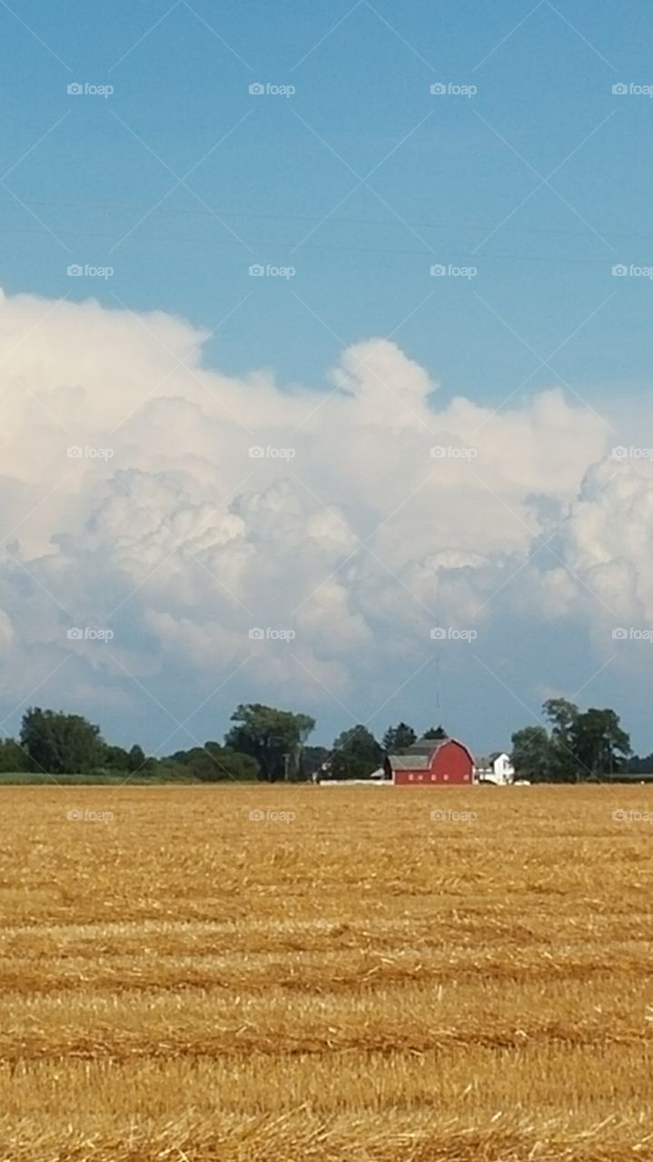 Summer Harvest Storm. Summer Thunderstorm over Farm