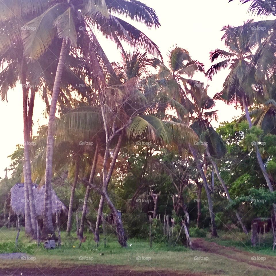 Sunrise in Nicaragua 