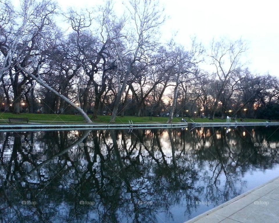 Bidwell Reflection