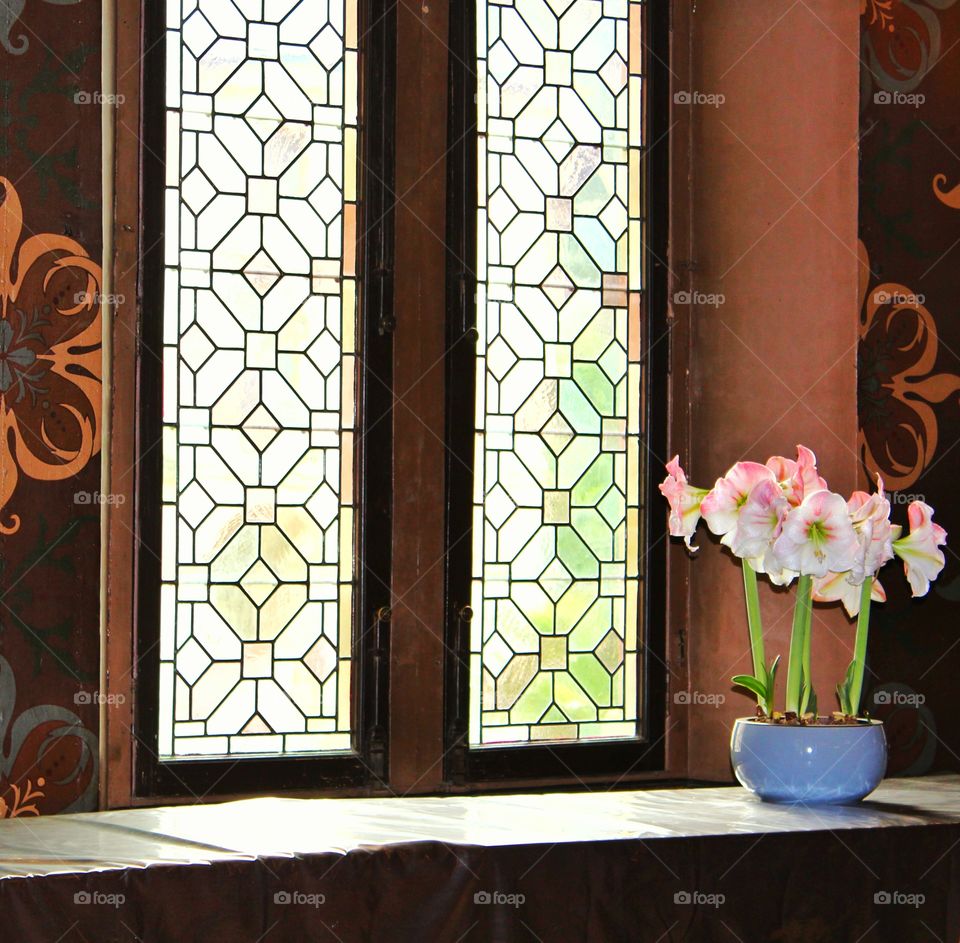 windows with a flower