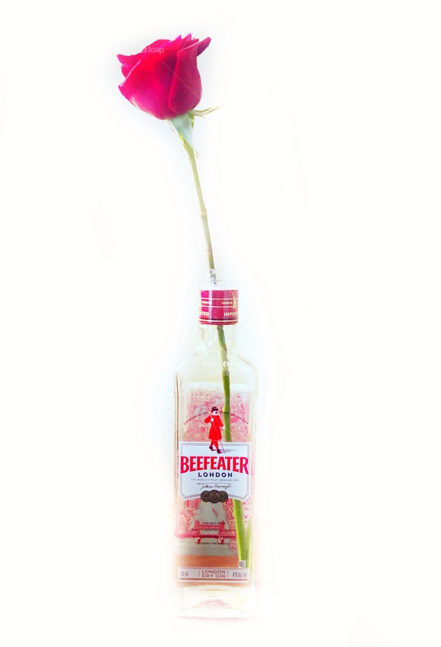 Rose in beafeater gin bottle