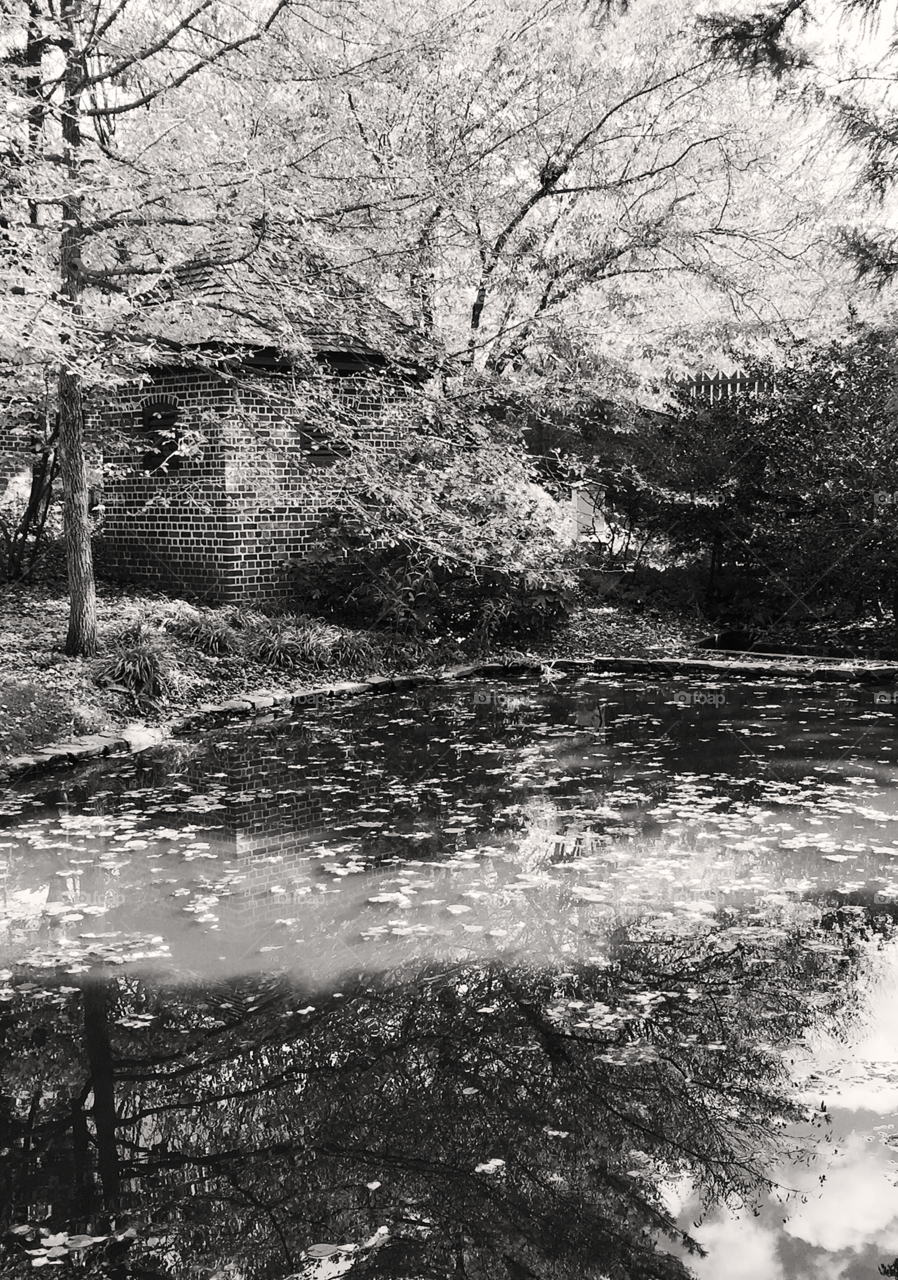 Small lake with a brick building in the background. Black and white photo taken during the fall. 