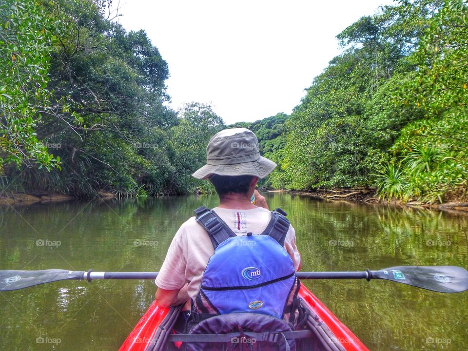 Kayaking through the mangrove