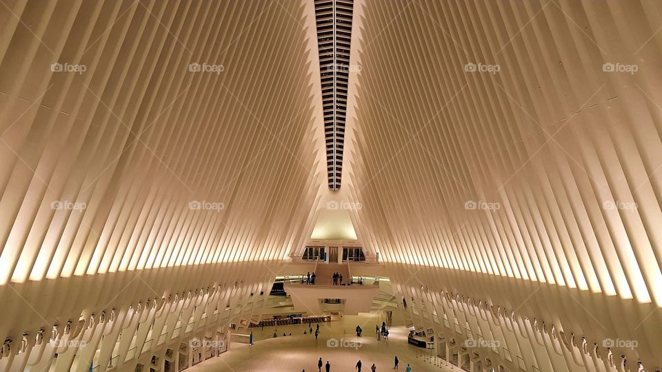 Westfield WTC roof and wings at NYC