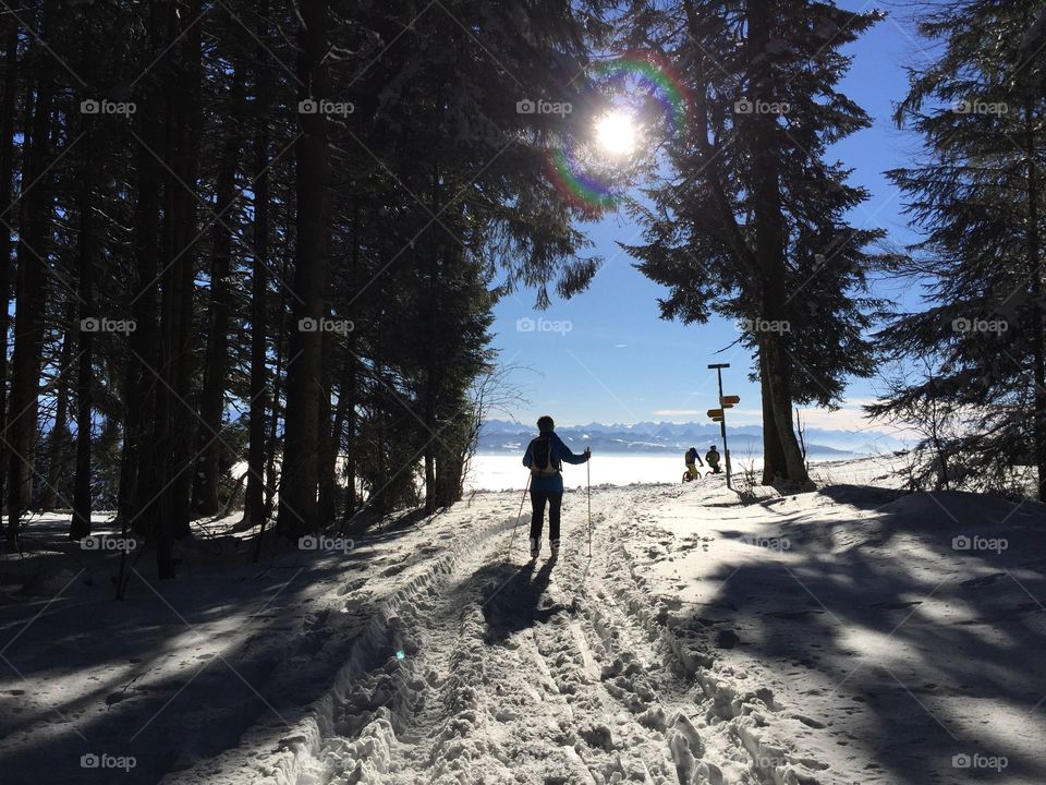 Gorgeous sunny day in the Swiss Alps - enjoying cross country skiing at Bachtel area, close to Zurich.