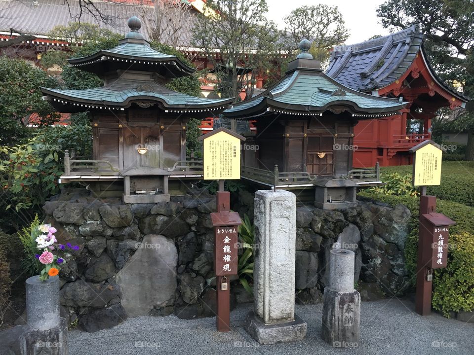 Spiritual, Amazon’s, eye-opening trip to Tokyo. So much culture, history, and respect 