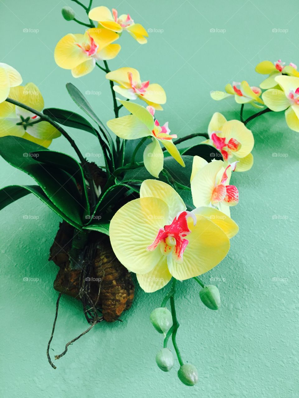 Orchid decoration 