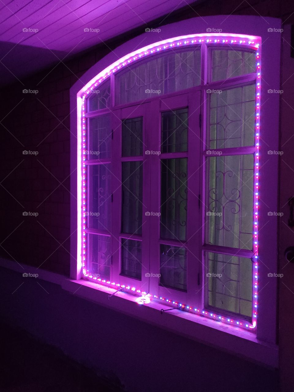 violet window
