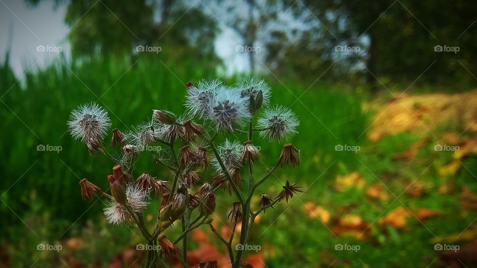 taking closer look into it