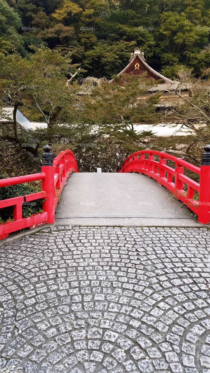 Red bridge, Ryuanji Temple