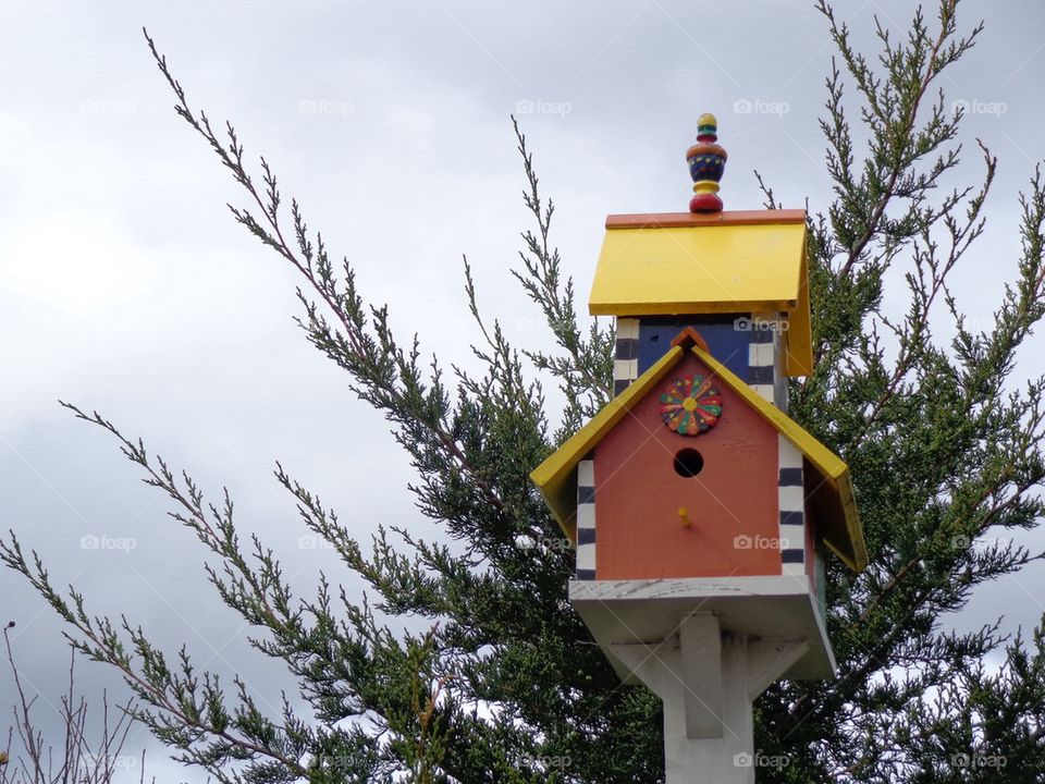 Bird house 