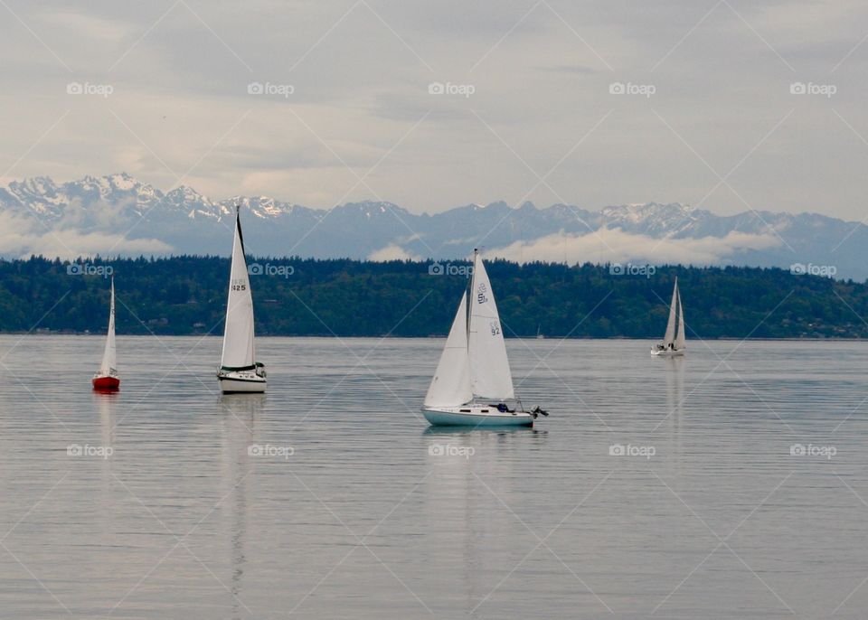 Sailing. Sail boats