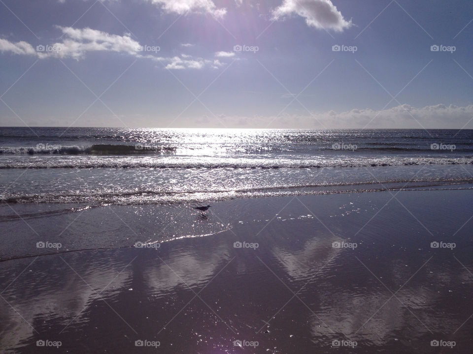 beach sweden sunny clouds by shec