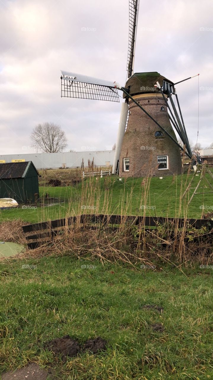 Leiden, The Netherlands 