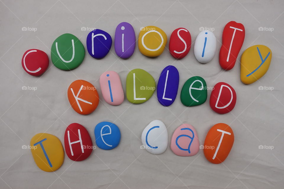 Curiosity killed the cat, multi colored text composed with sea stones over white sand