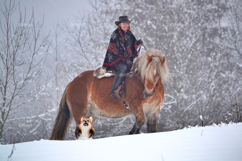 Girl riding on her horse and a dog running at their side