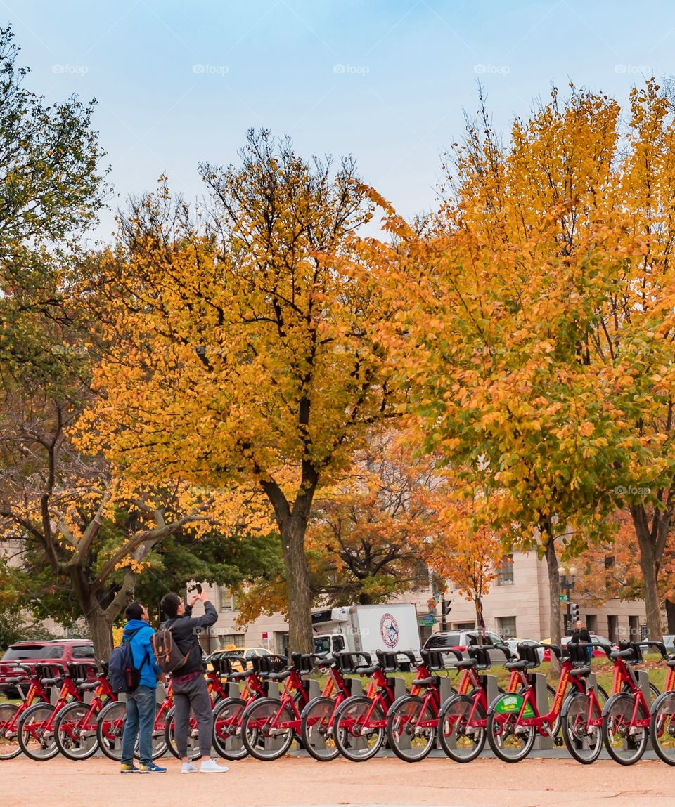 Autumn bikes