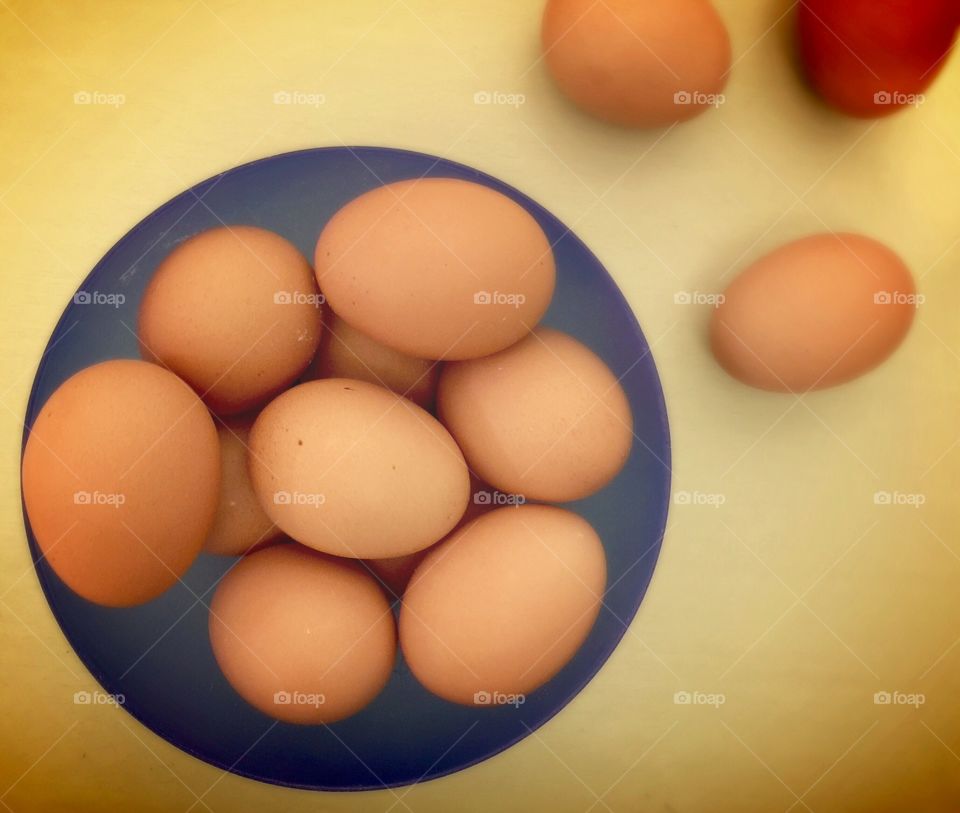 Fresh eggs in all sizes 