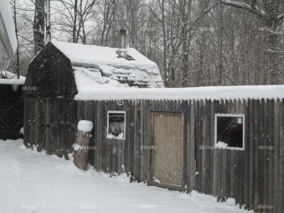 snow winter white scene by ashley77